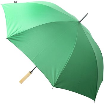 Groen - 312.5