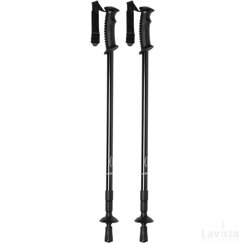Brulen Nordic Walking Sticks Zwart
