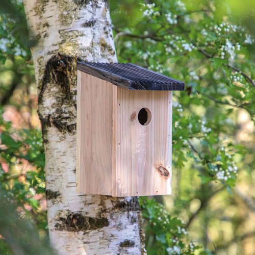 Vogelhuisje Rustiek hout