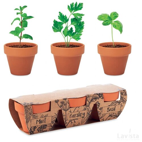 Kruidenpotjes set van 3 Flowerpot hout