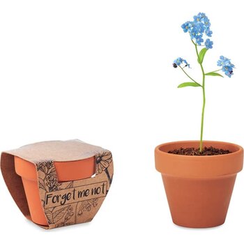 Potje vergeet-me-nietjes Forget me not hout