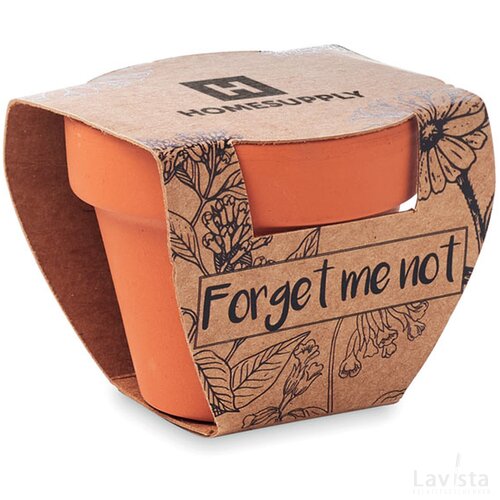 Potje vergeet-me-nietjes Forget me not hout
