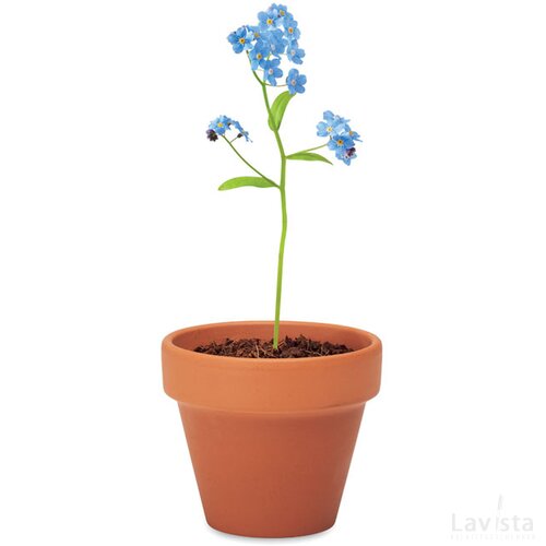 Potje vergeet-me-nietjes Forget me not hout