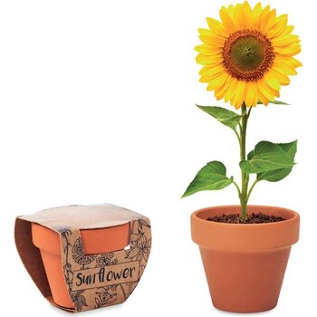 Potje zonnebloem Sunflower hout