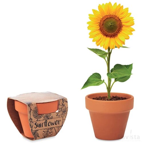 Potje zonnebloem Sunflower hout