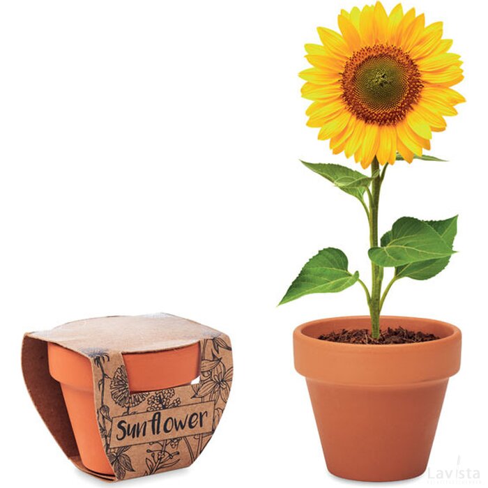 Potje zonnebloem Sunflower hout