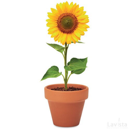 Potje zonnebloem Sunflower hout
