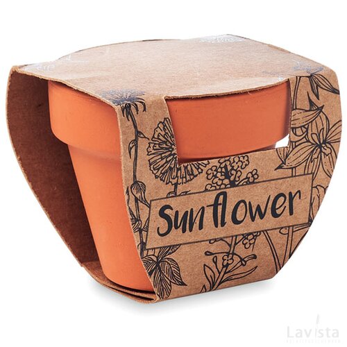 Potje zonnebloem Sunflower hout