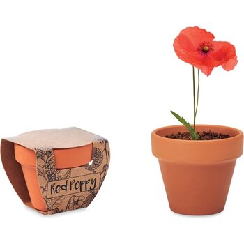 Potje klaproos Red poppy hout