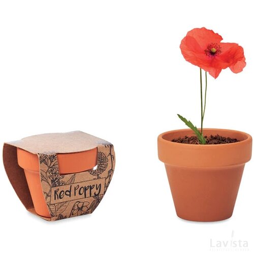 Potje klaproos Red poppy hout