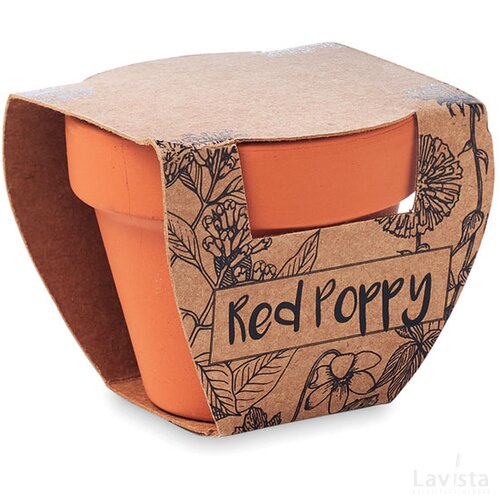 Potje klaproos Red poppy hout