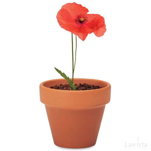Potje klaproos Red poppy hout