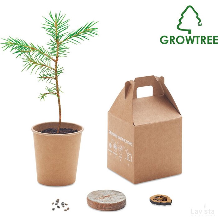 Pijnboom set Growtree™ beige