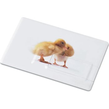 Creditcard. usb flash 16gb mo1059-06 Memorama wit