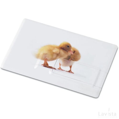 Creditcard. usb flash 16gb mo1059-06 Memorama wit