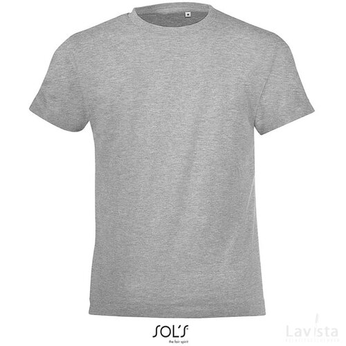 Regent f kind t-shirt 150g Regent fit kids grijs melange