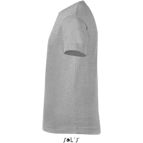 Regent f kind t-shirt 150g Regent fit kids grijs melange
