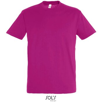 Fuchsia - 0,580 M - 0,148 KG - 0,390 M - 0,162 KG - 16,240 KG