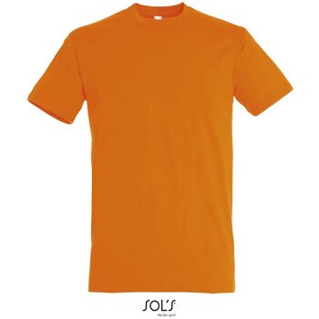 Oranje - 0,640 M - 0,174 KG - 0,420 M - 0,192 KG - 19,245 KG