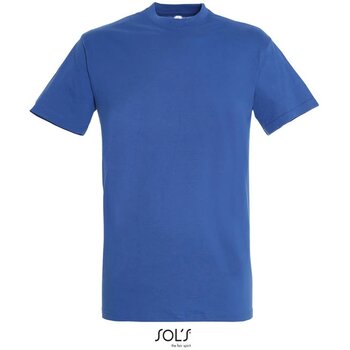 Blauw - 0,640 M - 0,174 KG - 0,420 M - 0,192 KG - 19,245 KG
