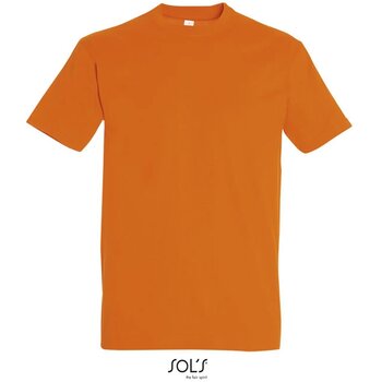 Oranje - 0,190 M - 0,640 M - 0,226 KG - 0,410 M - 5 - 0,255 KG - 50 - 12,760 KG