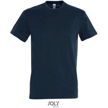 Turquoise - 0,350 M - 0,570 M - 0,184 KG - 0,390 M - 10 - 0,202 KG - 100 - 20,180 KG