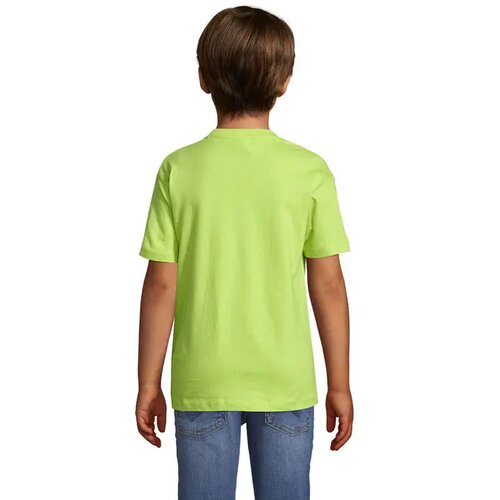 Regent kinder t-shirt 150g Regent kids apple green