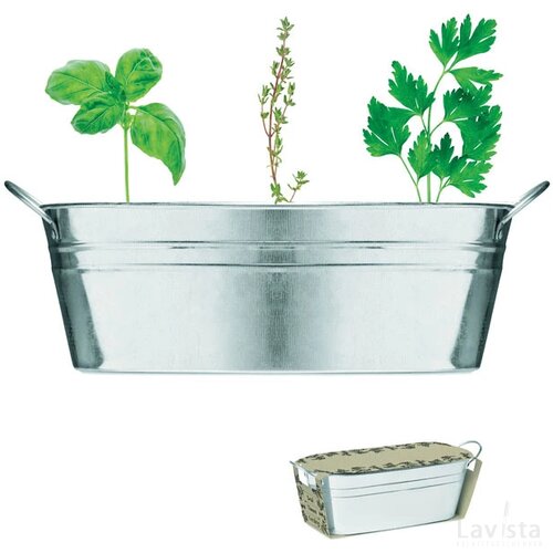 Zinken kuipje 3 zakjes Mix seeds mat zilver