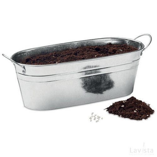 Zinken kuipje met 3 kruidenzaadjes Zilver