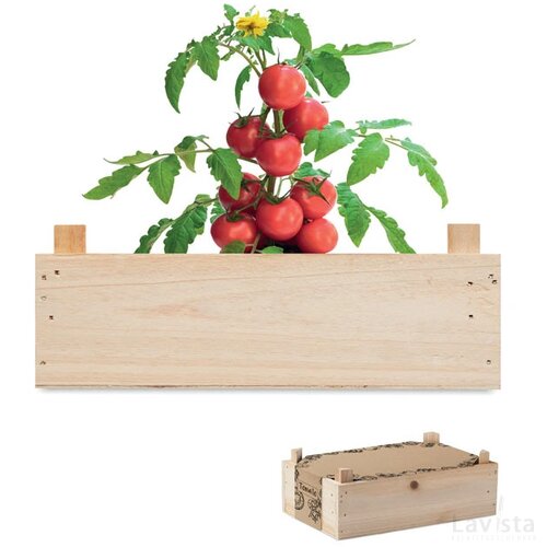 Tomatenkweekset houten kratje Tomato hout