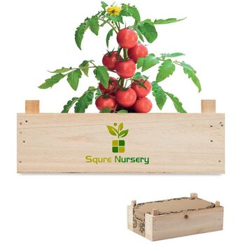 Tomatenkweekset houten kratje Tomato hout