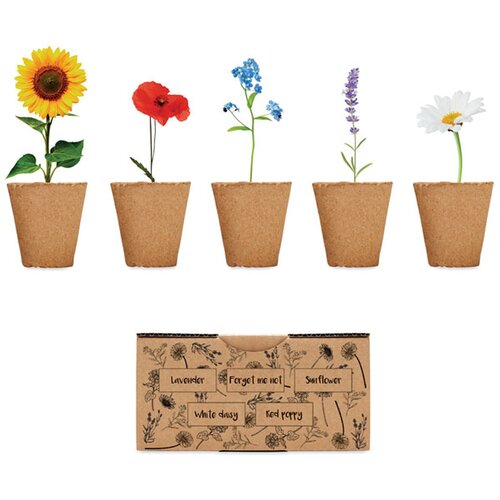 Kweetset met bloemen of salade Beige