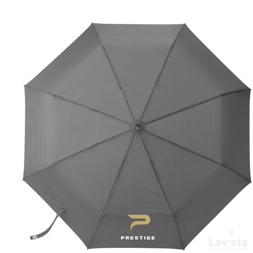 Michigan Opvouwbare Rpet Paraplu 21 Inch Grijs