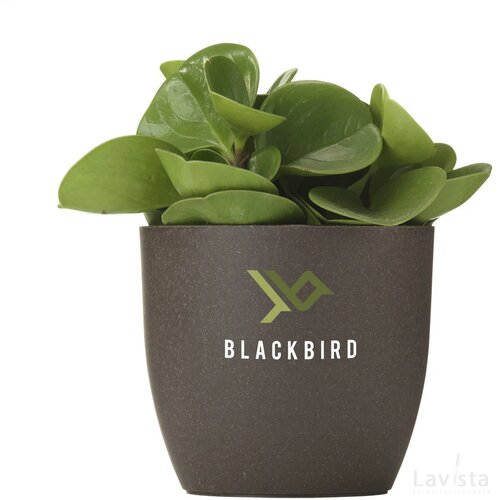 Coffee Flowerpot Bloempot Bruin