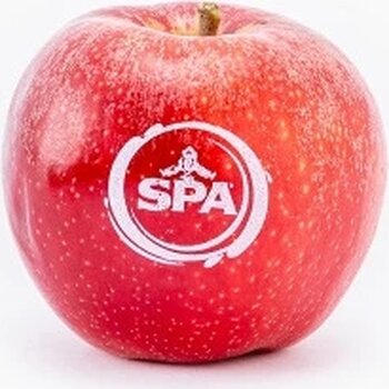 Appel met eetbare bedrukking rood