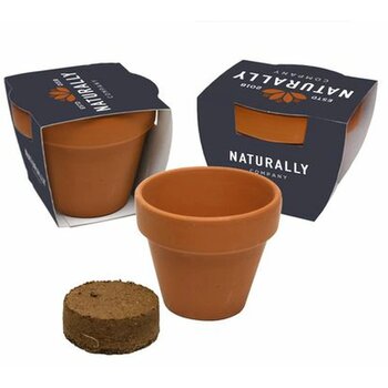 Terracotta bloempotje met bloemzaadjes Gemengd
