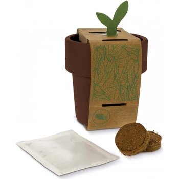 Hot-but-cool beker met kerstomaten zaadjes bruin