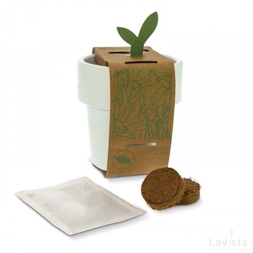Hot-but-cool beker met basilicum zaadjes wit