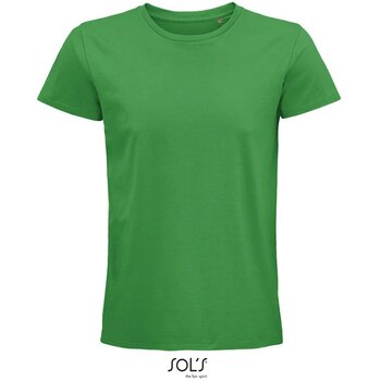 Groen