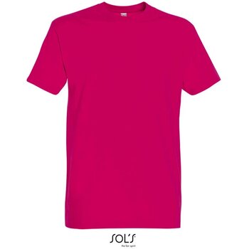 Fuchsia - 0,350 M - 0,570 M - 0,184 KG - 0,390 M - 10 - 0,202 KG - 100 - 20,180 KG