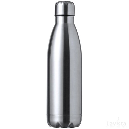 Rextan Sport Fles Zilver