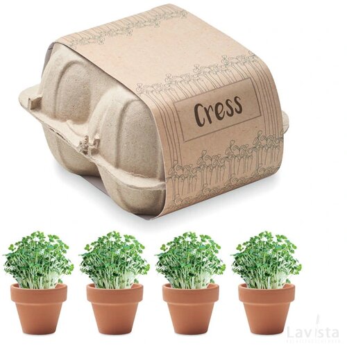 Kweekset in eierdoos Cress beige