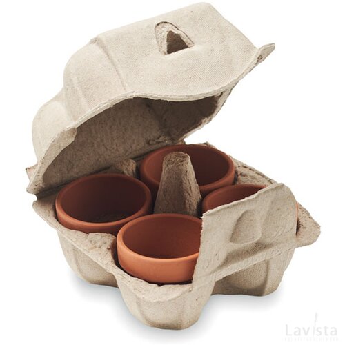 Kweekset in eierdoos Beige