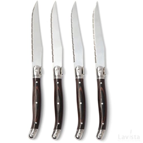 VINGA Gigaro steakmessenset staal