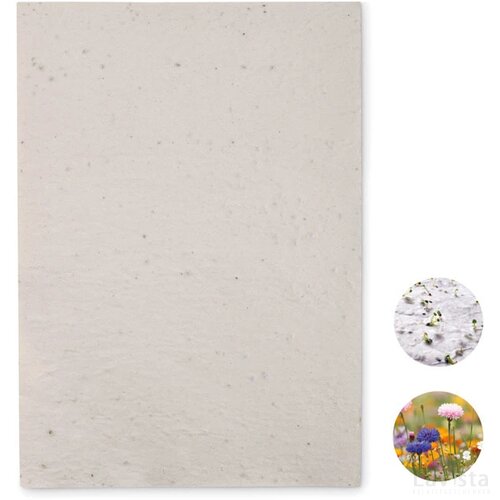 A4 zaadpapier wilde bloemen Asidi wit