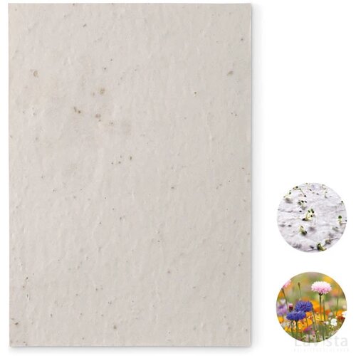 A5 zaadpapier wilde bloemen Aside wit