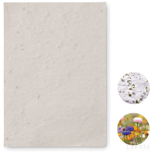 A6 zaadpapier wilde bloemen Asido wit
