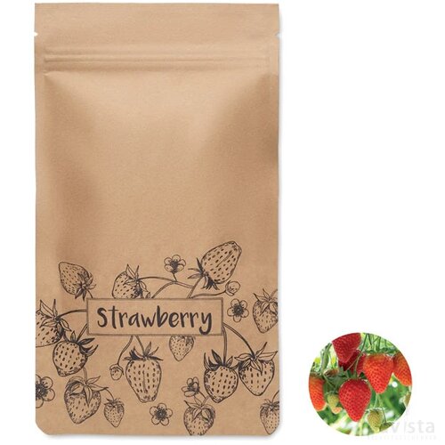 Aardbeien kweekset Fresa kit beige