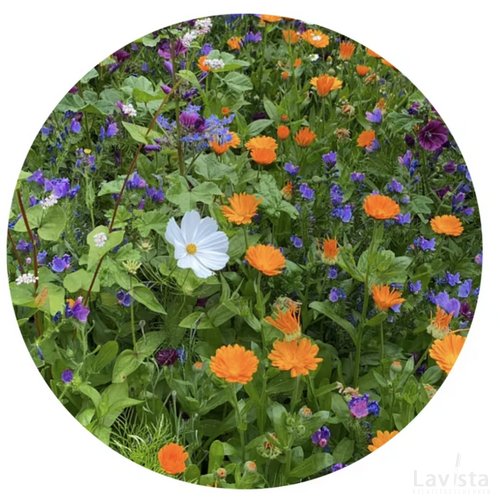 Snijbloemzaadjes in zakje Bruin