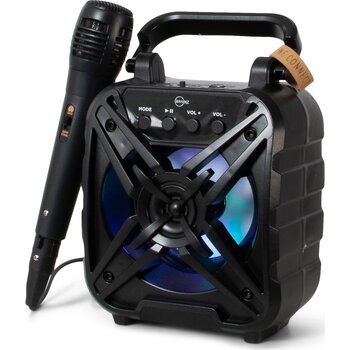 BRAINZ Karaoke Speaker Wheatstraw